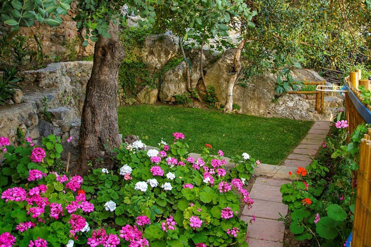 Mirthios-Hill Apartments Plakias Zewnętrze zdjęcie
